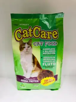 cheap cat food online