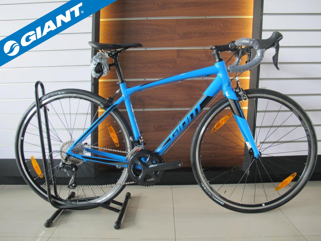 giant contend 1 2019