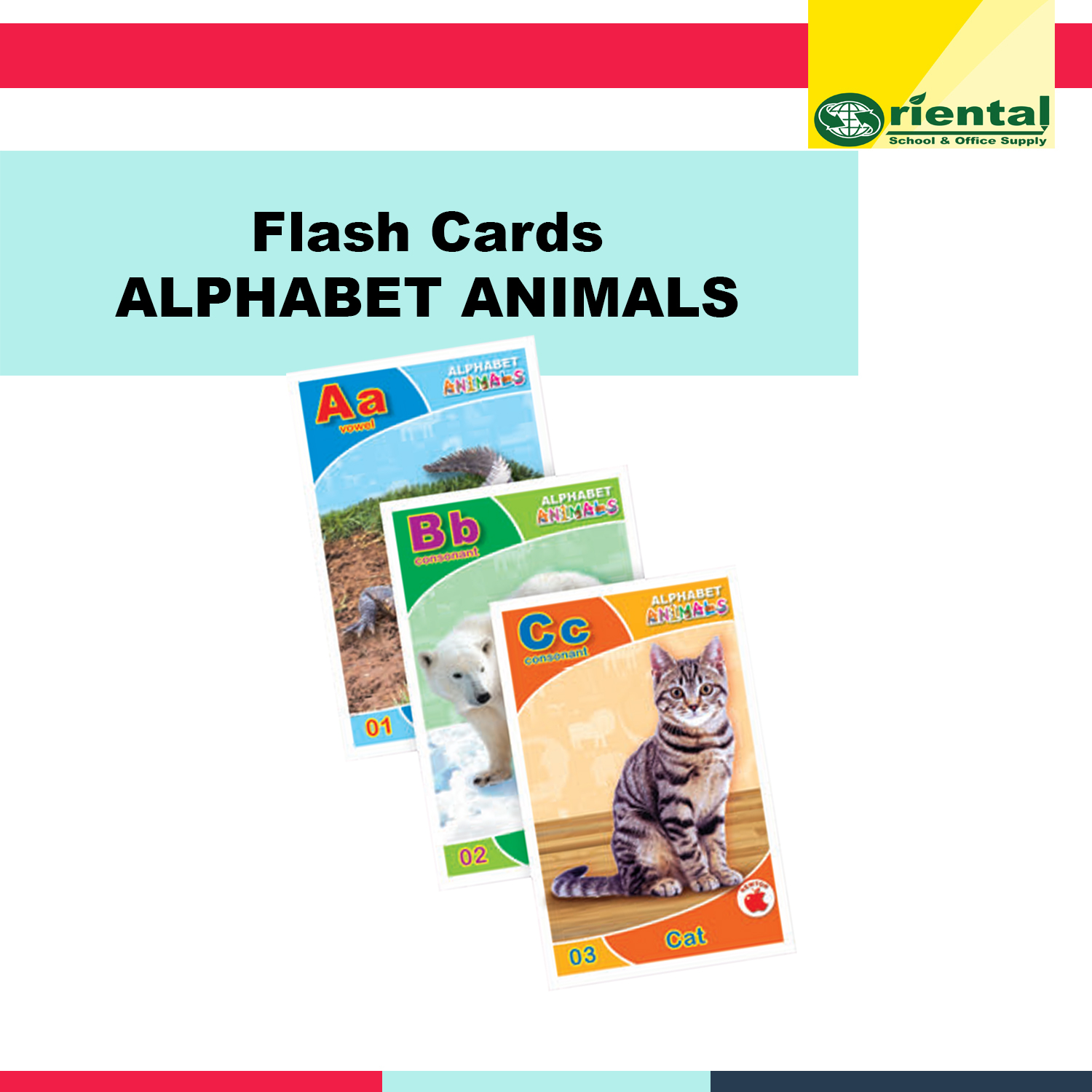 Alphabet Animals Flash card - A to Z Animals, Domesticated, Wild, Air & Sea  Animals - Sold per pack | Lazada PH