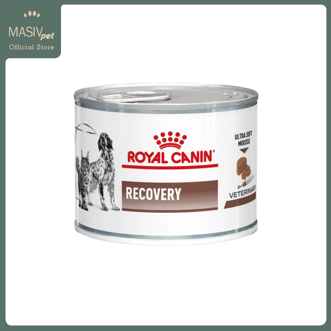 royal canin recovery can