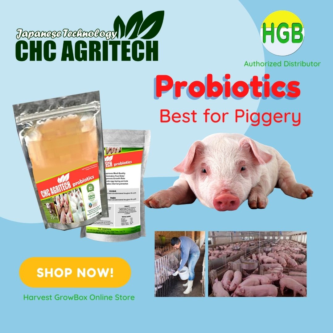 PROBIOTICS 1kg 100 Organic Japanese Technology CHC Agritech