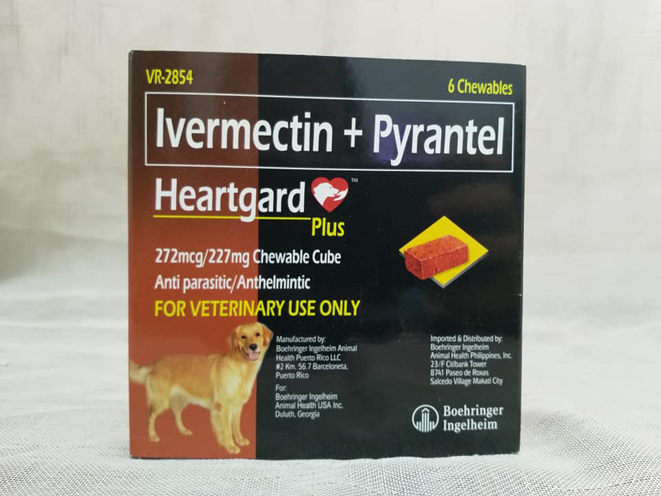buy heartgard plus for dogs