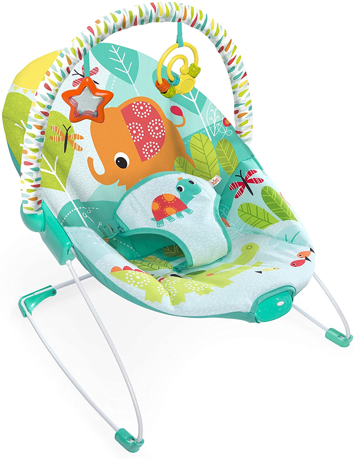 raindrop rainforest bouncer