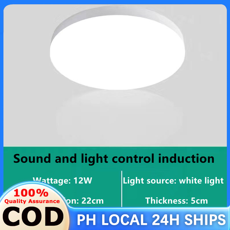 Living Room Chandelier Ceiling Sala Ceiling Light Led Ceiling Light