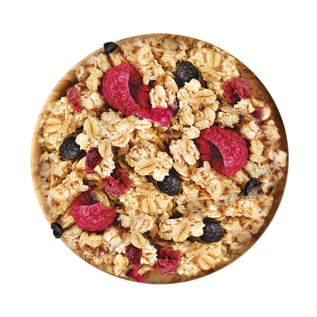 Emco Musli Crunchy Oat Cereal Blueberries Raspberries 375g Lazada PH