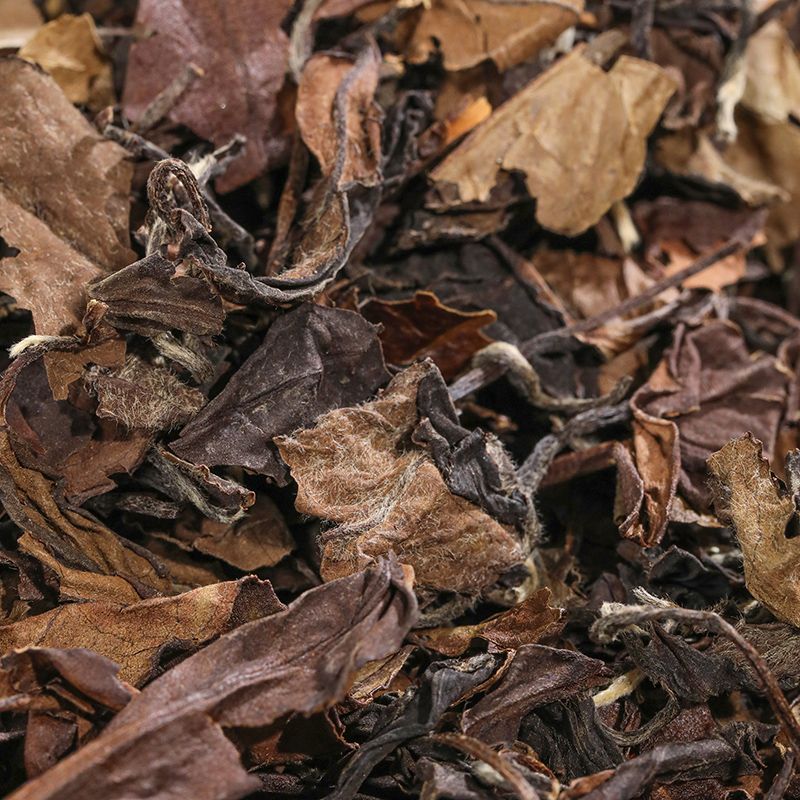 【China Tea】福建白茶福鼎老白茶 Fujian White Tea Fuding Old White Tea 50g