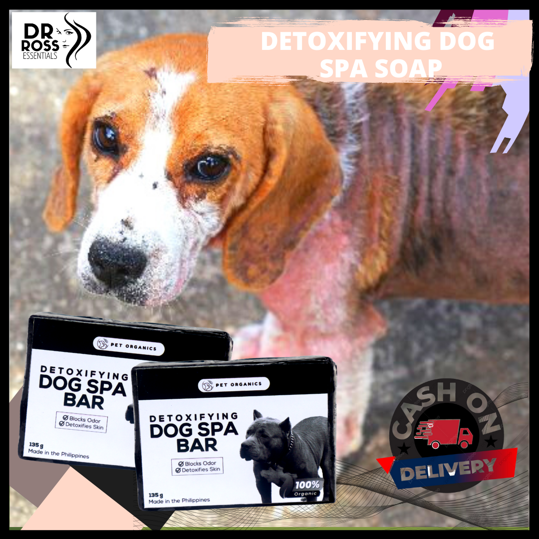 Is Activated Charcoal Good For Dogs