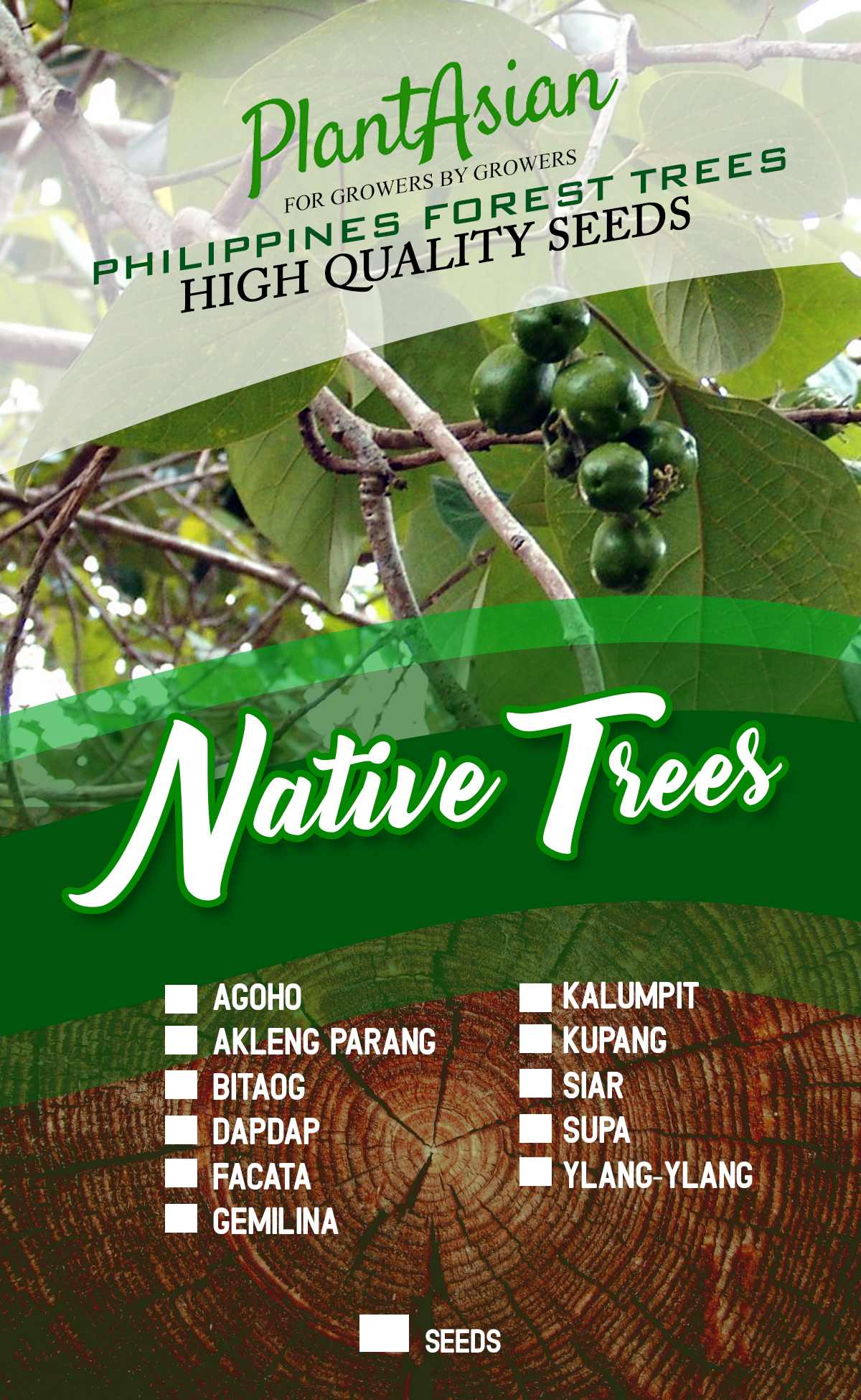 Gemilina Tree Seeds 3 Seeds Min 