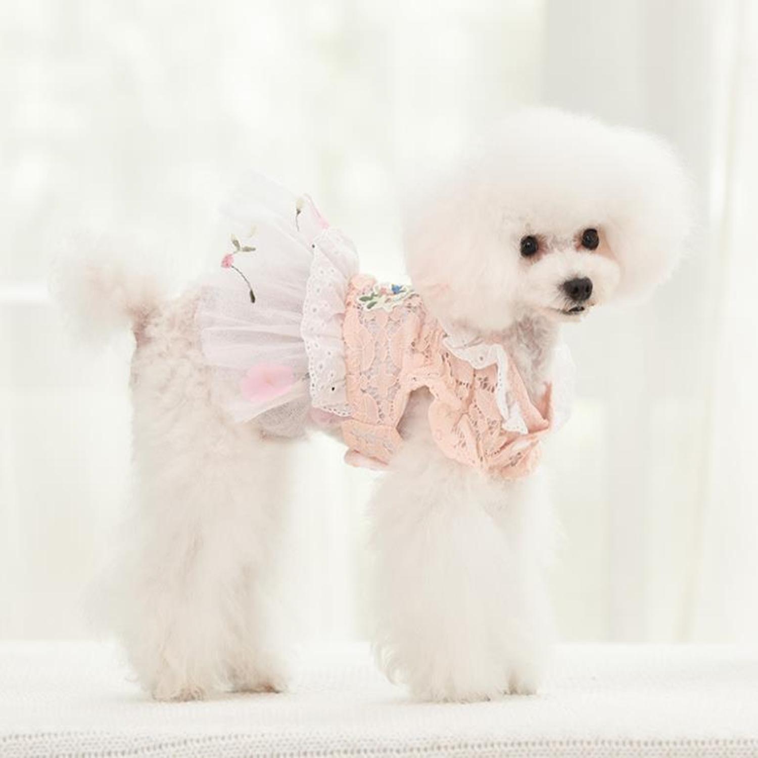 WEEGUBENG Skirt Cat Apparel Doggie Costumes Bird Embroidery Floral Dogs Lace Skirt Dog Dress Puppy Princess Jumpsuit