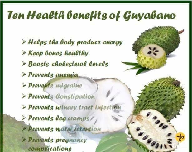 Authentic Vita Plus Guyabano Duo Lazada Ph