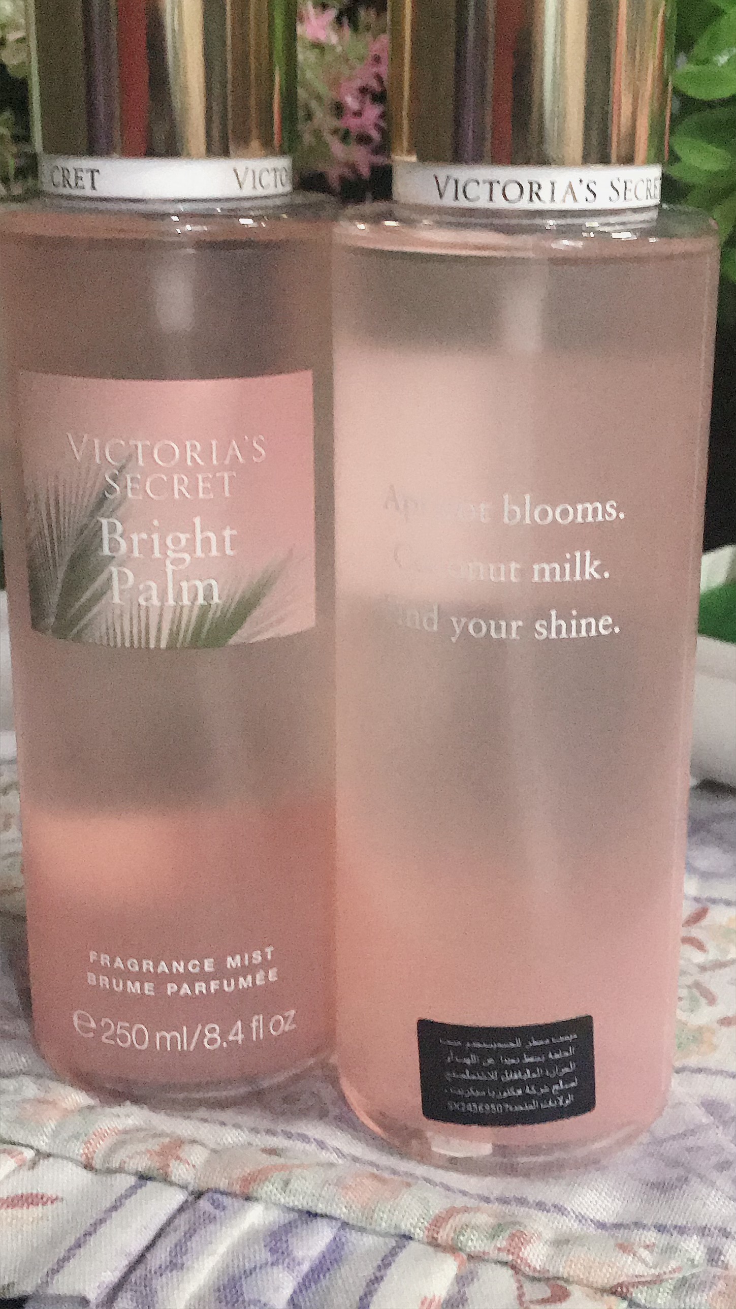 Bright Palm Victoria Secret Smell 2025