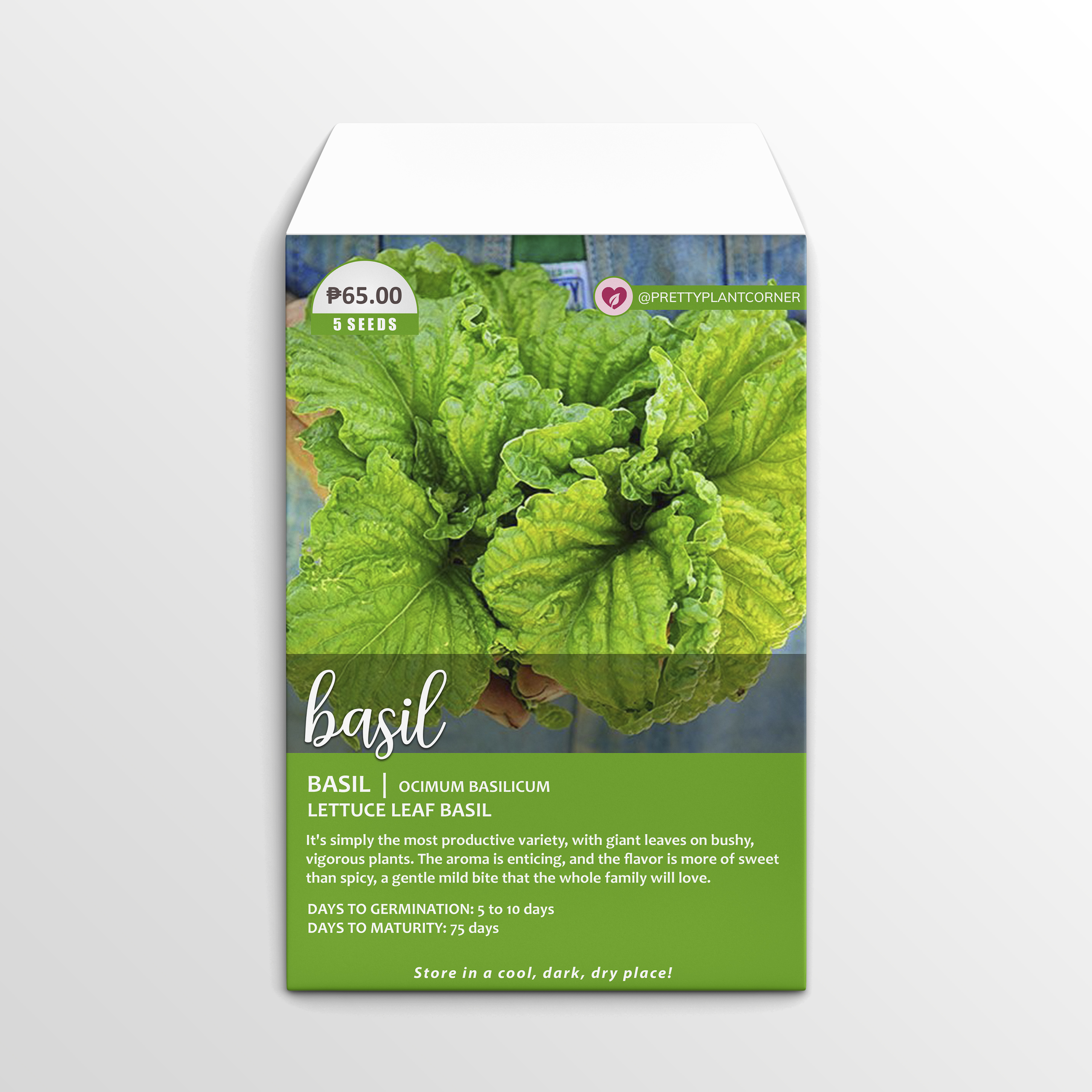 Lettuce Leaf Basil Seeds Lazada PH