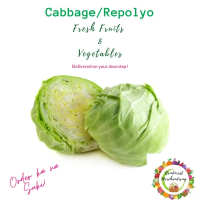 Cabbage/Repolyo (1kg)