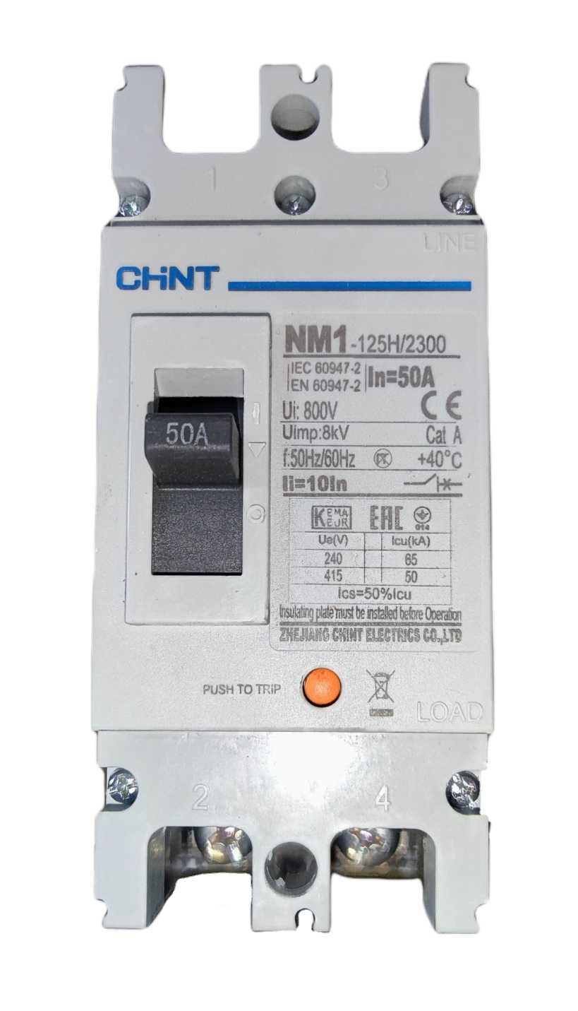 50A Industrial Circuit Breaker 2 Pole Single Phase 220V 125AF 50 KAIC 400VAC ( Chint) NM1125H