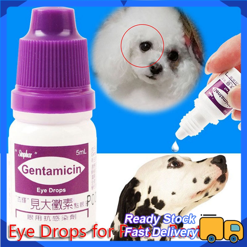 Percy Julie] Uinmoac Eye Drops For Pets Dogs Cats 15ml Make Your Pet'S Eyes  Comfortable And Bright | Lazada PH