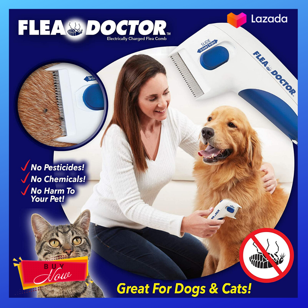 guaranteed flea killer for dogs