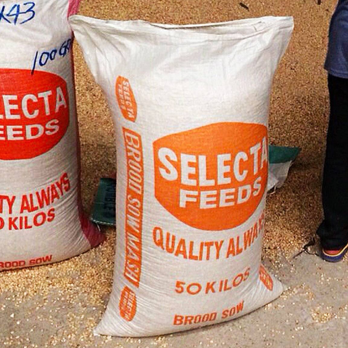 Empty Sacks Selecta Brand 