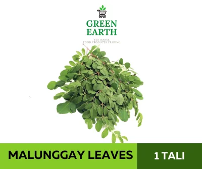 GREEN EARTH FRESH MALUNGGAY - 1 TALI