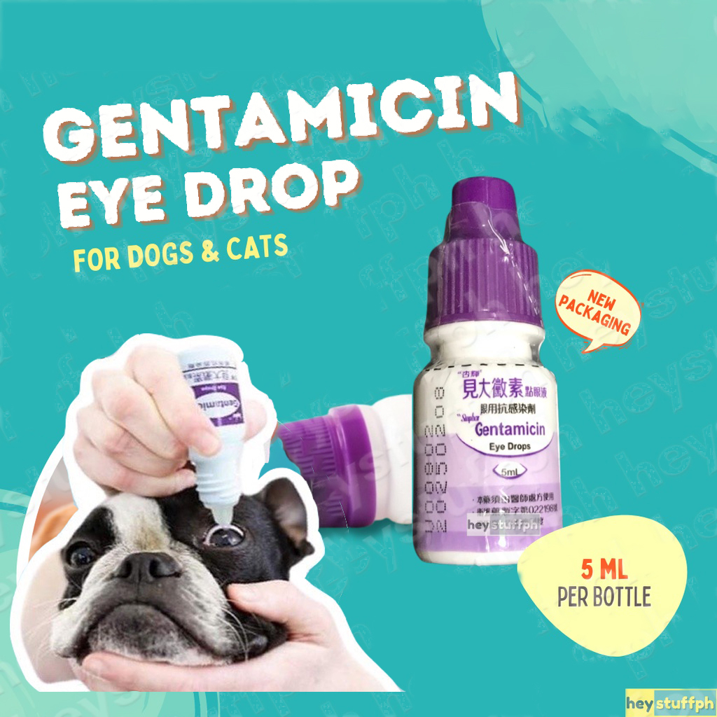 Gentamicin Ophthalmic Gentin Eye Drops For Dogs Gentamicin Eye