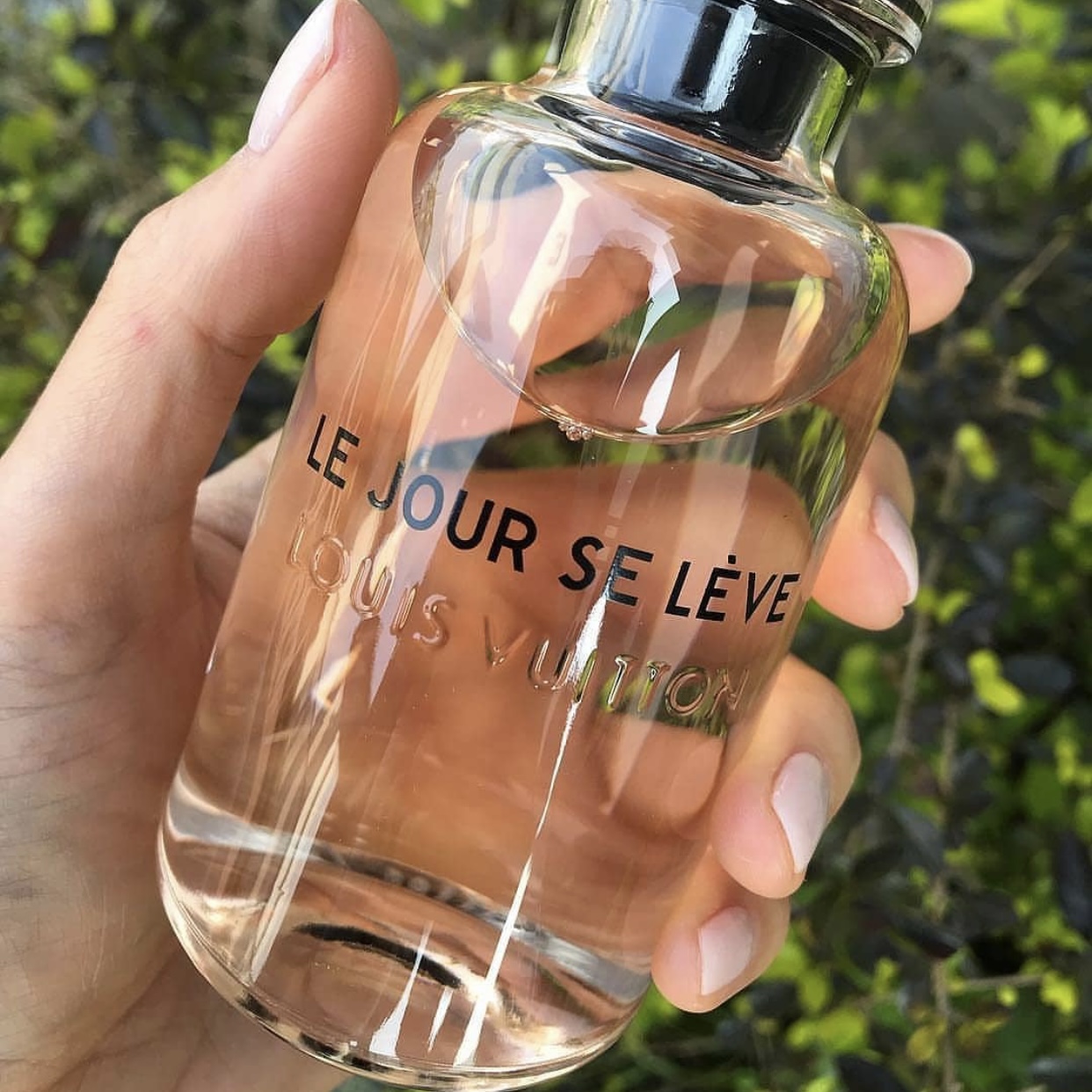 Louis Vuitton Le Jour Se Leve Review, Price, Coupon - PerfumeDiary