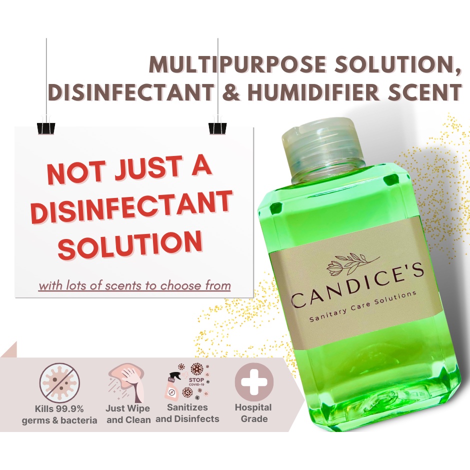 Waterbased AntiBacterial Humidifier Citronella Scent Lazada PH