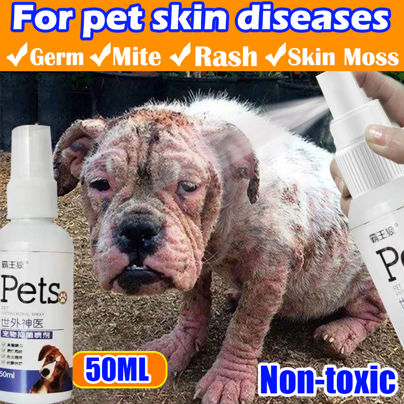 Pet Skin Treatment Spray Pet Antibacterial Spray Flea and Tick Remover for  Dogs & Cats Solve Dog Dandruff, Itching, Fungus, Lichen, Hair Loss, Herpes,  Erythema and Scabies medicine for skin disease Pet