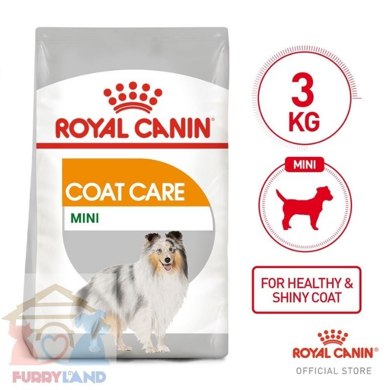 Royal Canin Coat Care Mini 3kg Lazada PH