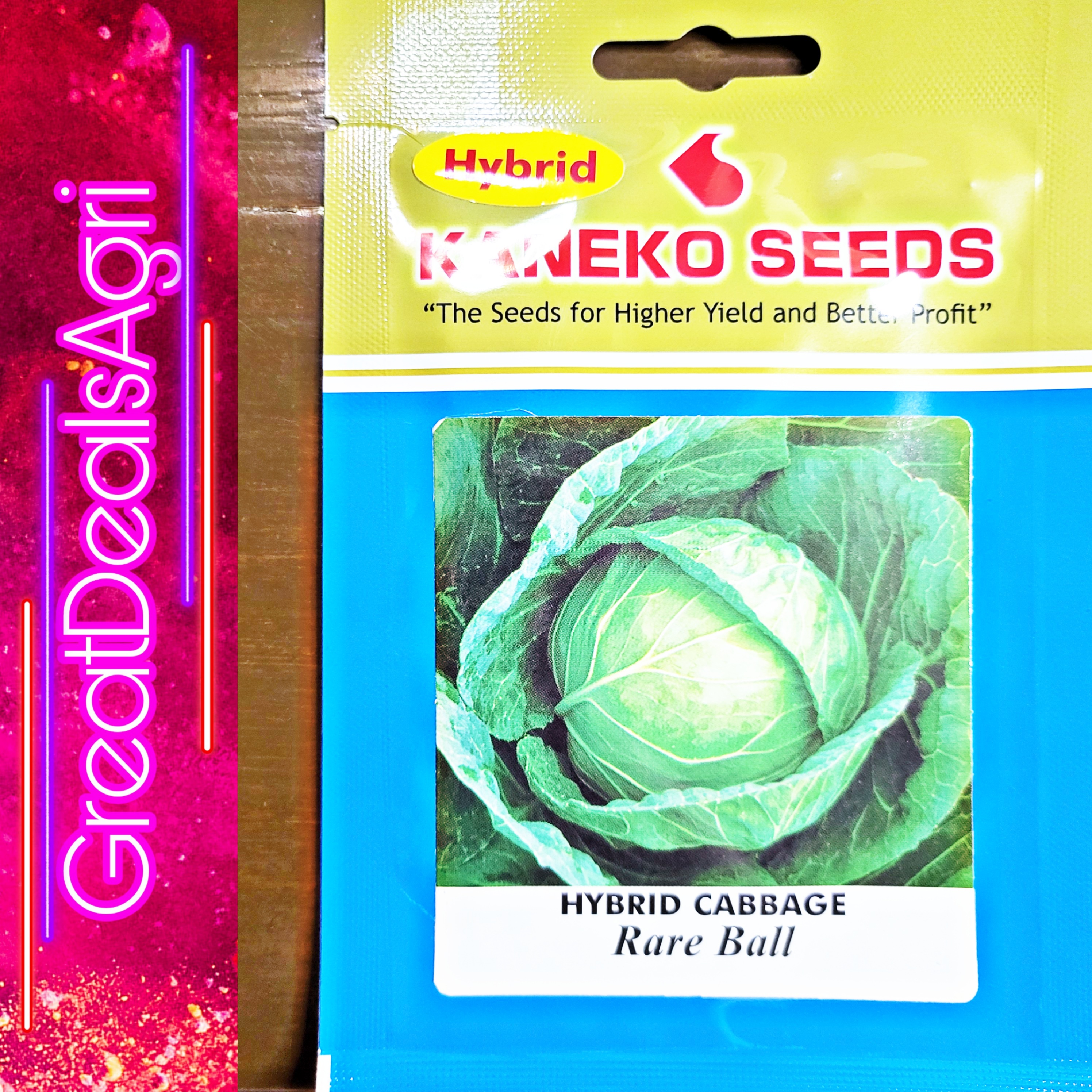 RARE BALL HYBRID CABBAGE SEEDS (1 GRAM) KANEKO SEEDS Lazada PH