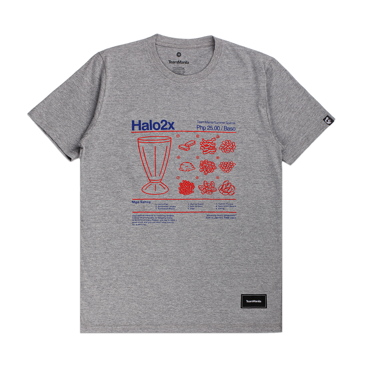 TEAM MANILA Halo2x (Gray) | Lazada PH
