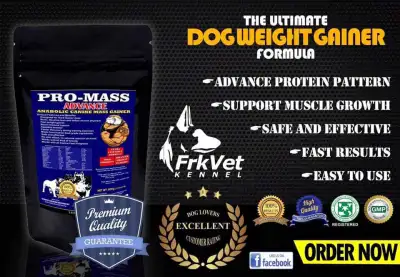 Pro Mass Advance Fast Weight Gainer and Appetite Booster for Dogs