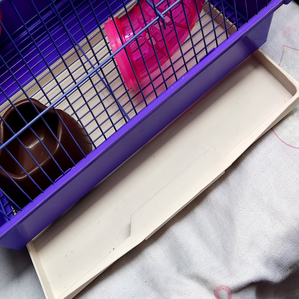 Hamster Cage Layer Set Color Purple Cage-35x28x38cm Lazada PH