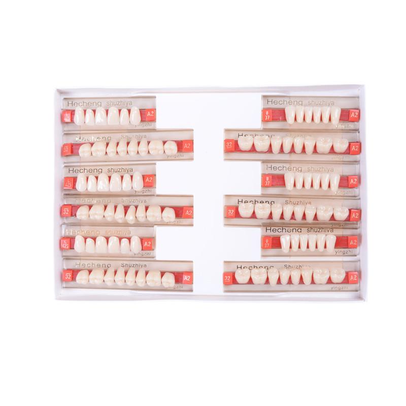 LngBo 1Box Acrylic Resin Denture Teeth Upper Lower Shade Dentures ...