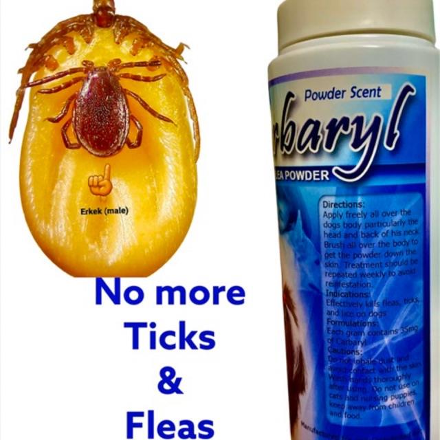 CARBARYL POWDER SCENT ANTI TICKS AND FLEAS MITES LICE KILLER DOG