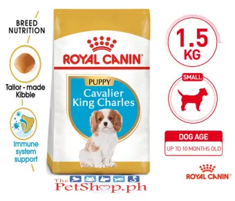 royal canin puppy food for cavalier king charles