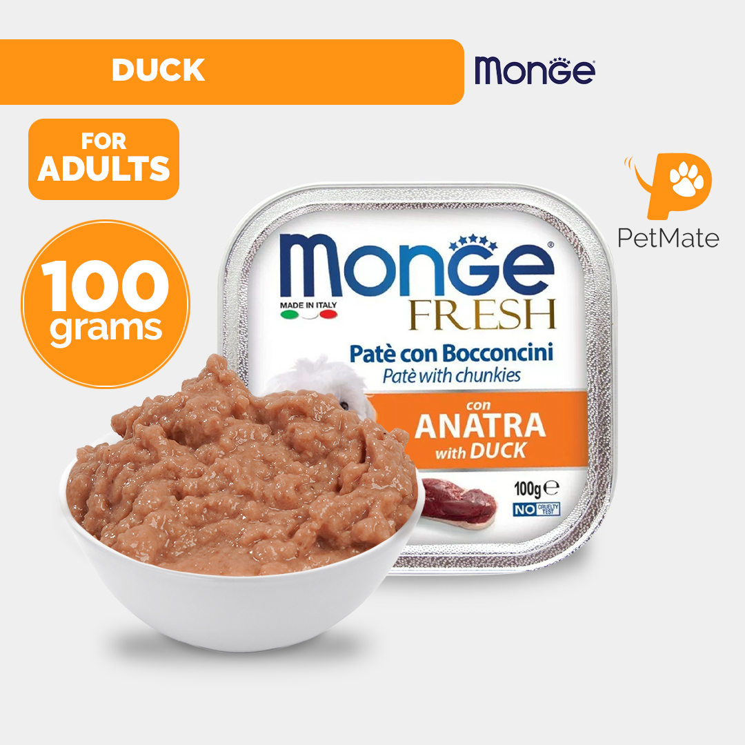 Monge Fresh Dog Wet Food Beef/Manzo 100g Collection PetMate delicious