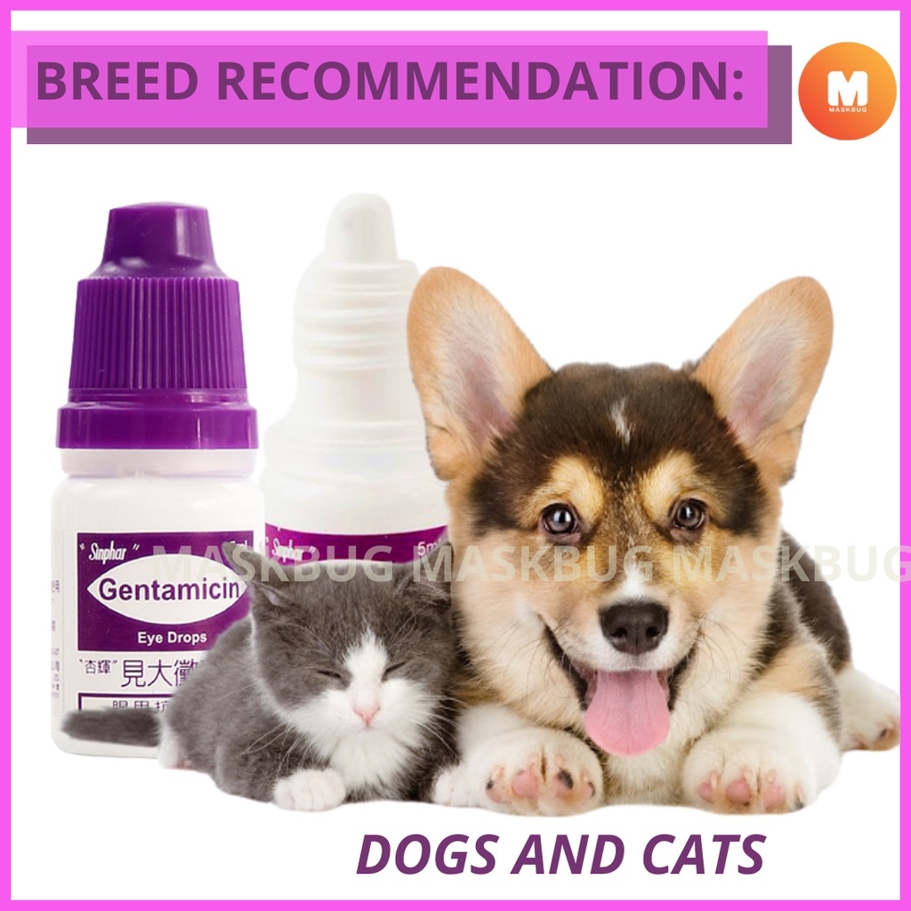 [DR.ROSSPH] SINPHAR GENTAMICIN Eye Drops for Pet Prevent Irritation