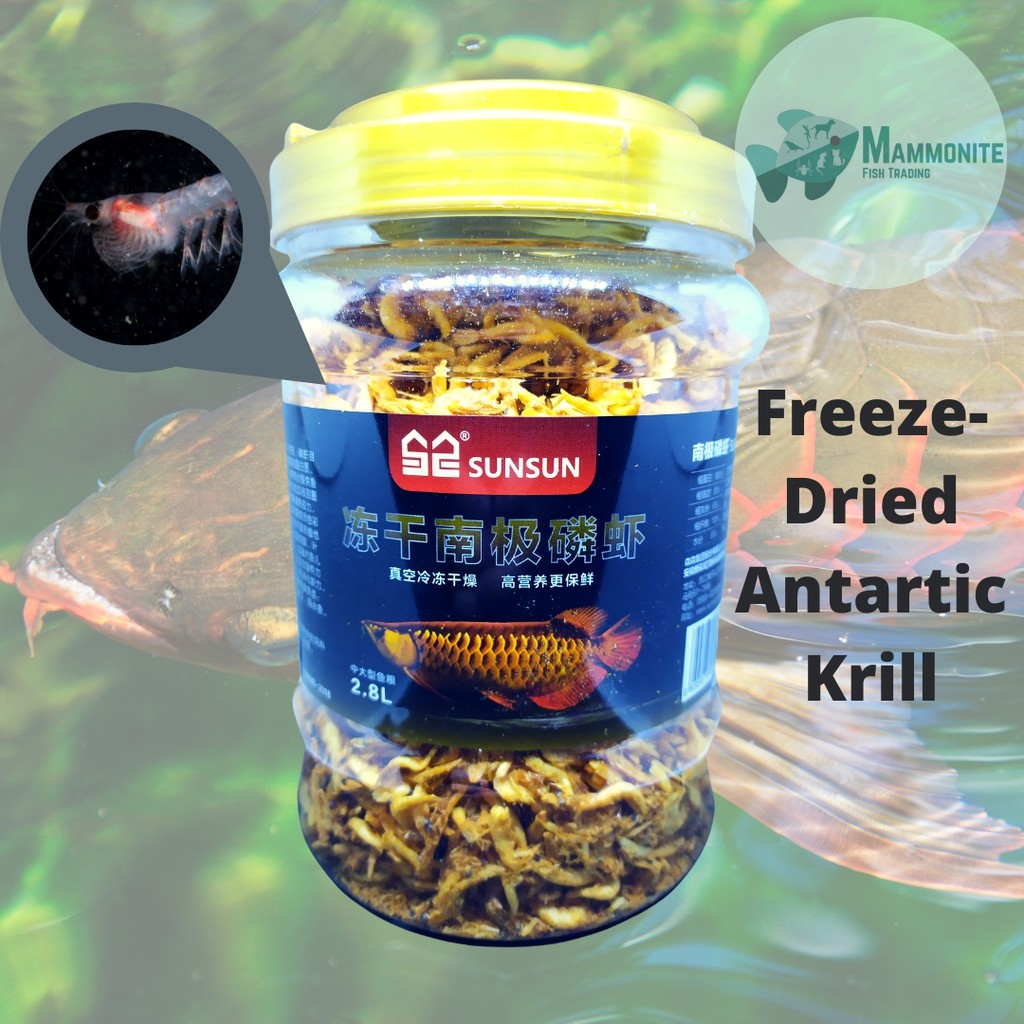FreezeDried Antartic Krill Shrimp For Arowana With Astaxanthin Lazada PH
