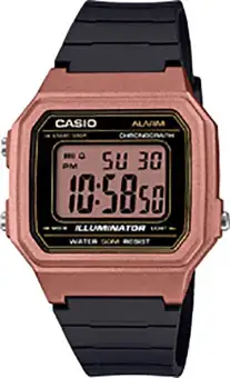 casio watch with remote