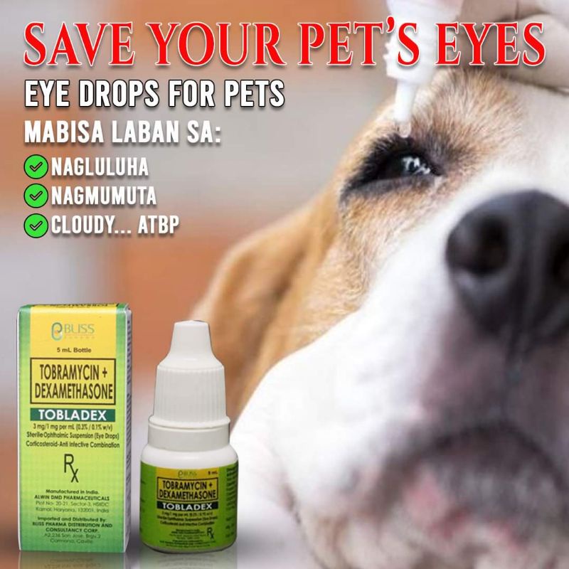 [Ready Stock] TOBLADEX Tobramycin + Dexamethasone Eye Drops for Pets