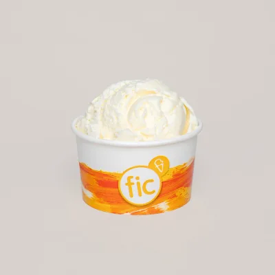 FIC Vanilla Premium Ice Cream 460ml