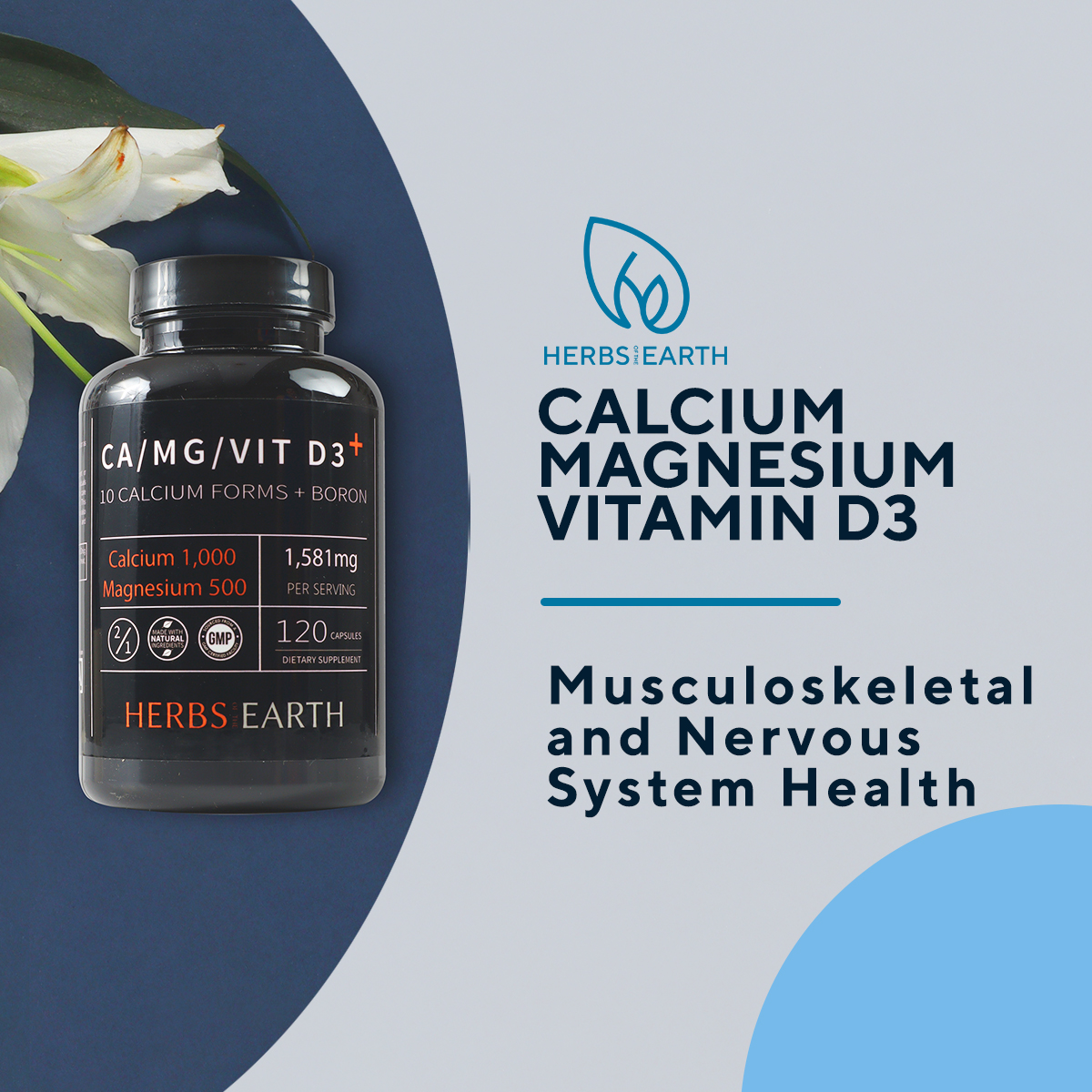 Calcium Magnesium Vitamin D3, 10 Forms of Calcium with Boron, Healthy Bones, Teeth, Immune