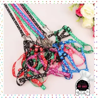 cat harness lazada