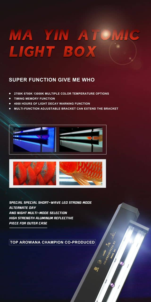 Mayin Atomic Tanning Light 2700 kelvin and 13000 kelvin Lazada PH