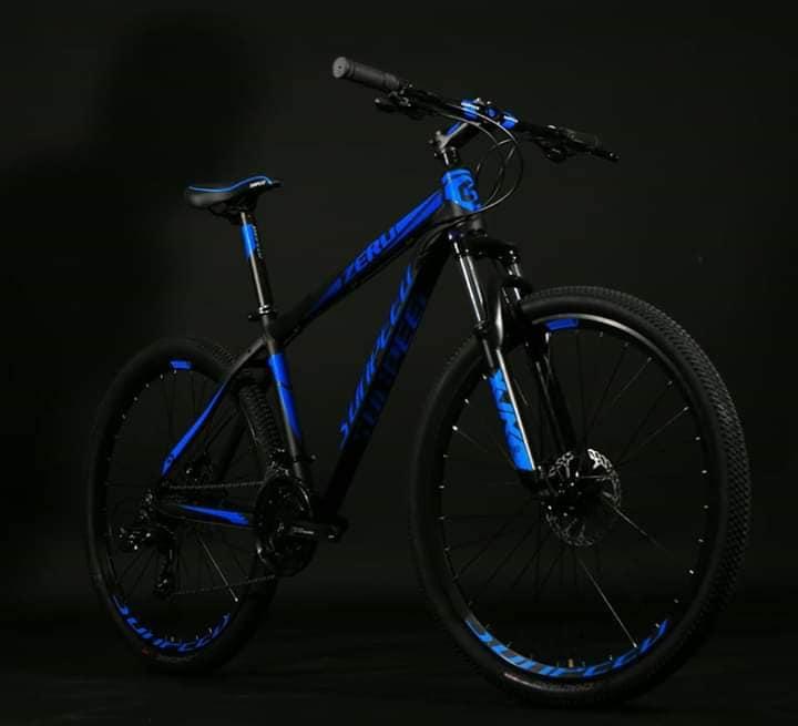 sunpeed zero 29er 2021
