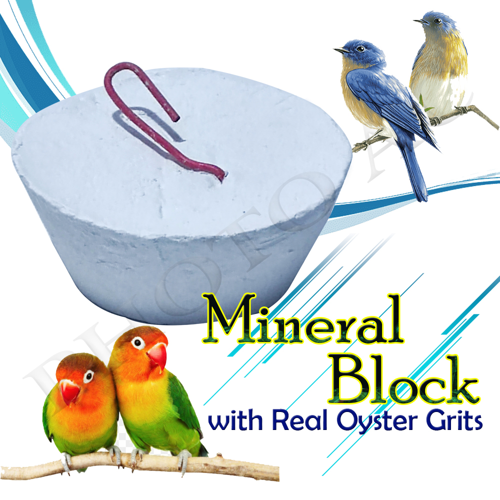 Mineral Block with Real Oyster Grits for Birds15grams Lazada PH