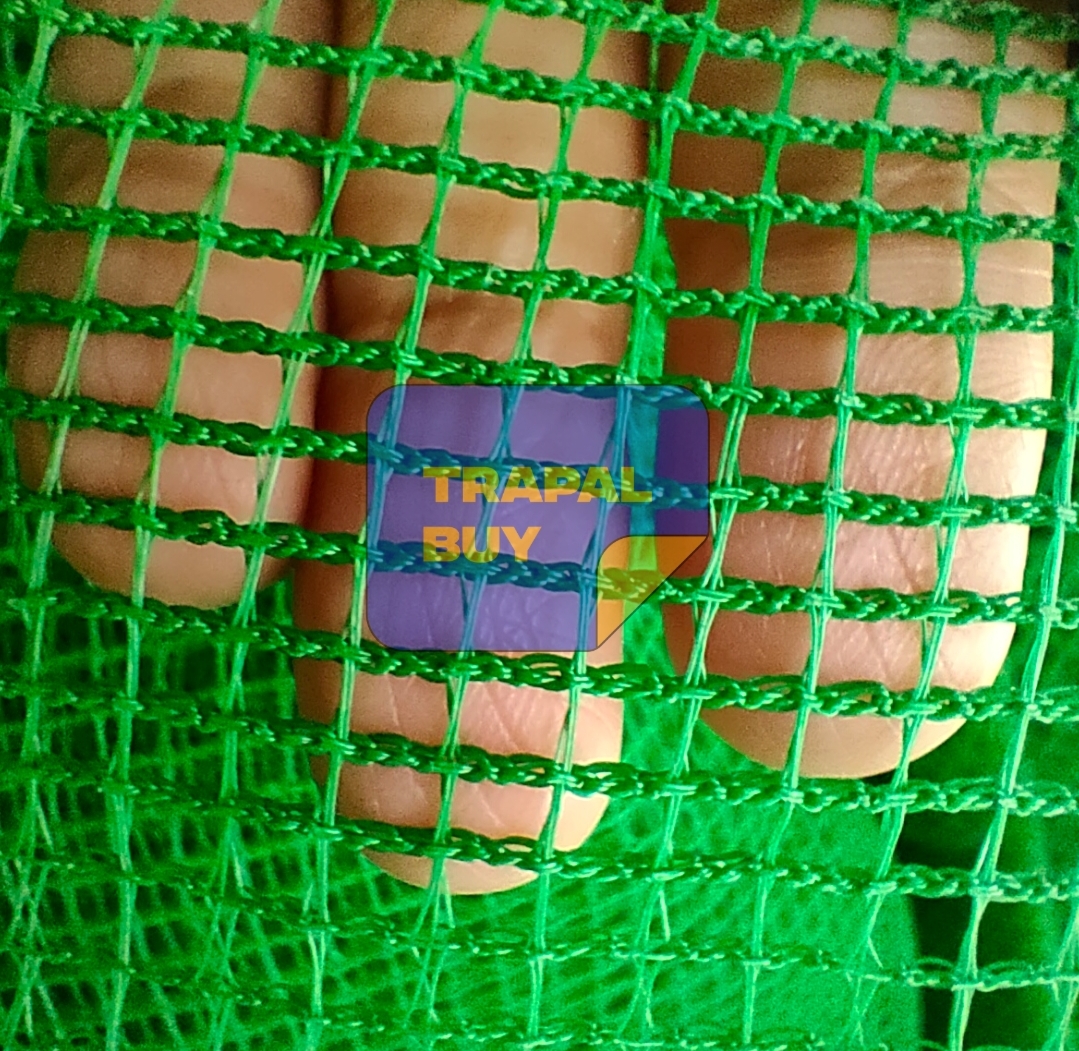 5ft (LAPAD) x 5 meters (HABA) FARM NET CONSTRUCTION NET ALL