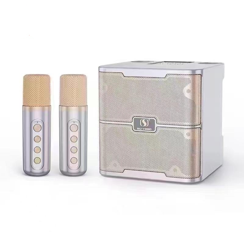 Wireless Bluetooth Dual Microphone Karaoke Speaker 3D Stereo Amplifier ...