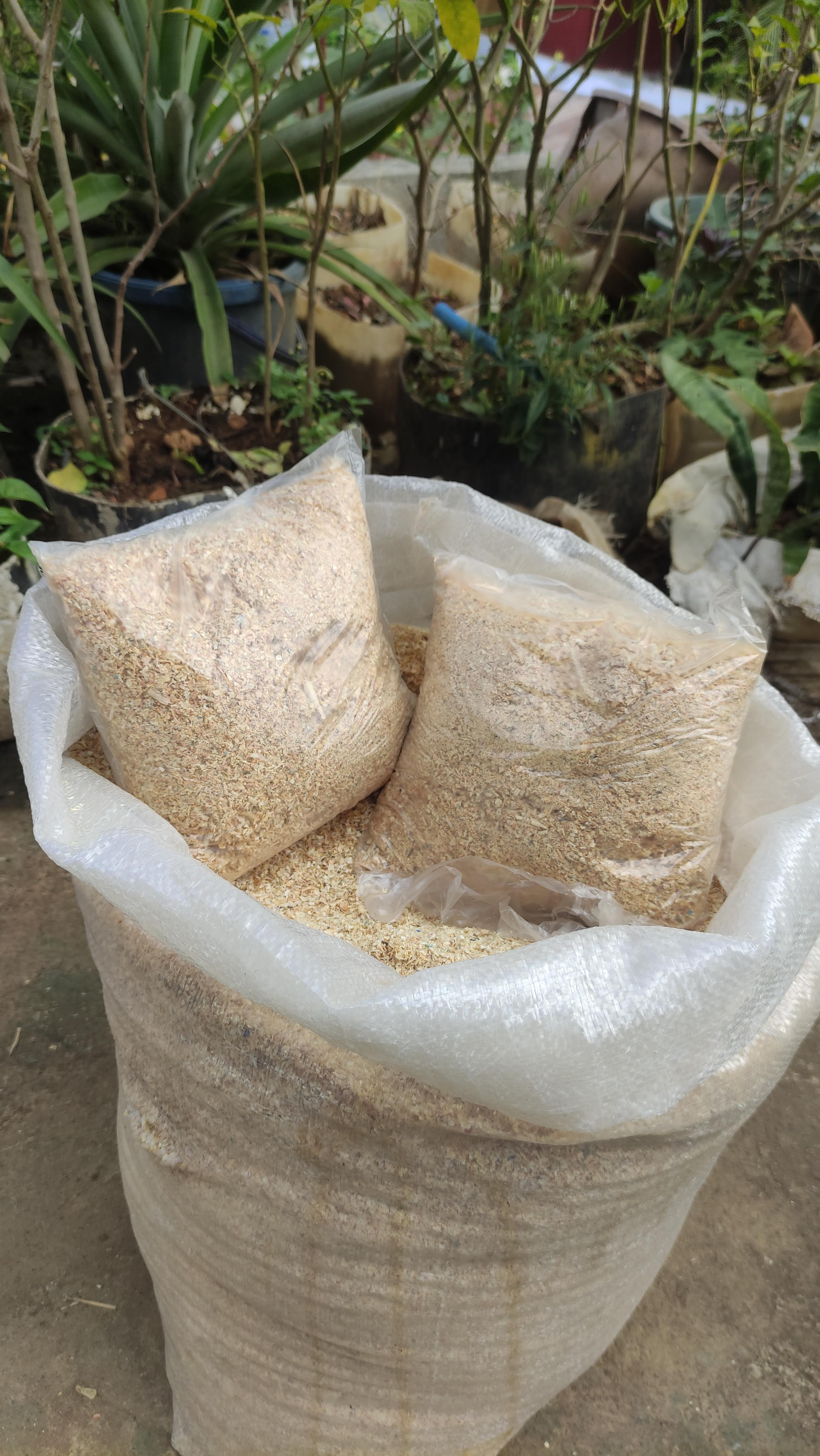 Fine Saw Dust Kusot for Plan Substrate / Alternative for Cat Litter