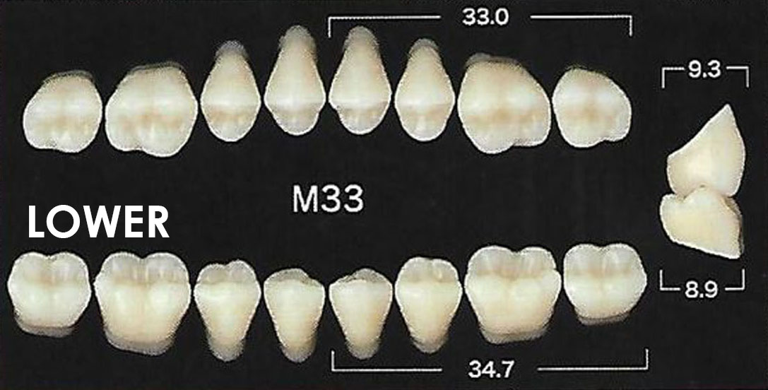 Yamahachi New Ace Acrylic Resin Teeth ( POSTERIOR UPPER AND LOWER