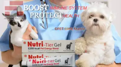 NUTRI-TIER GEL Pet Energy Boost plus Prebiotic 30g (Nutritier Gel 30g)